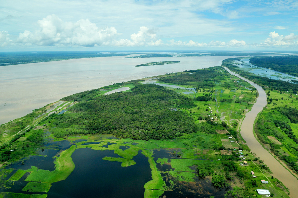 Amazon – Brazil, 2011.©Neil Palmer/CIAT