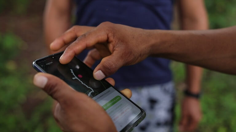 AMPA volunteer using Forest Watcher