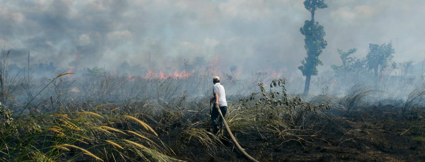 forest_fire_borneo
