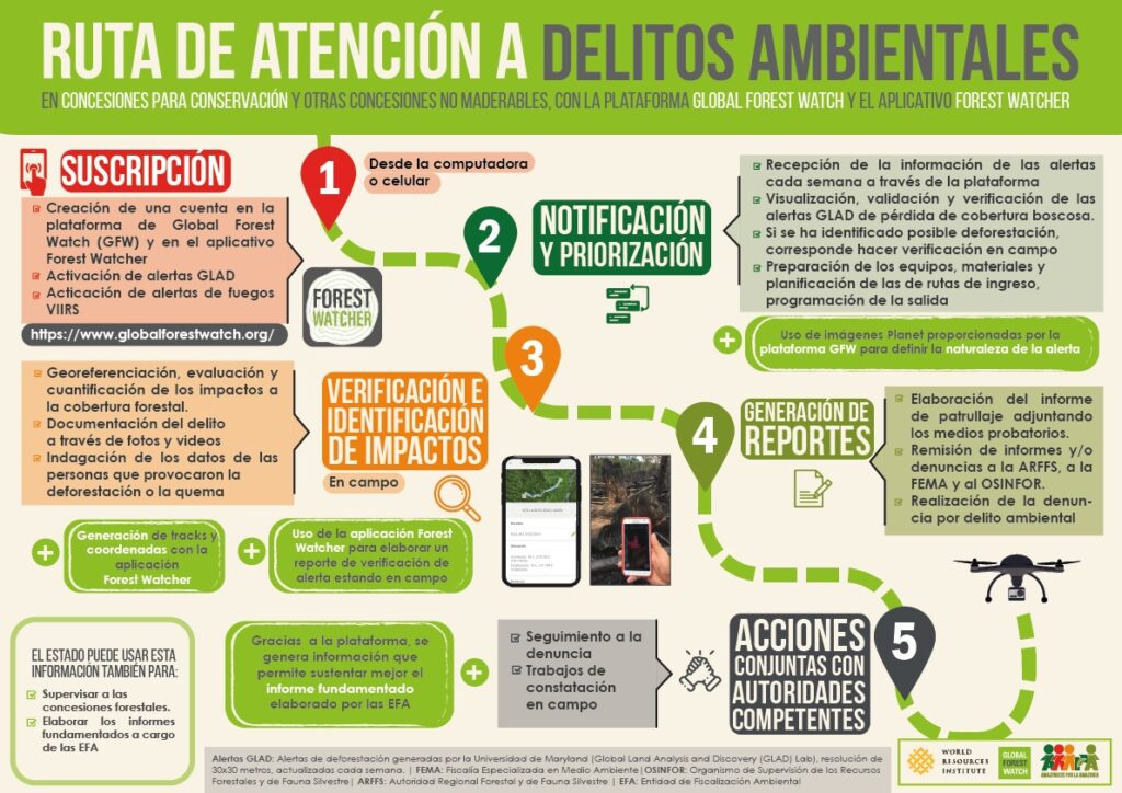 Infografia: Ruta de atencion a delitos amientales