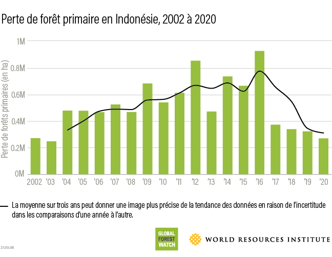 Top 10 countries for 2020 tree cover loss