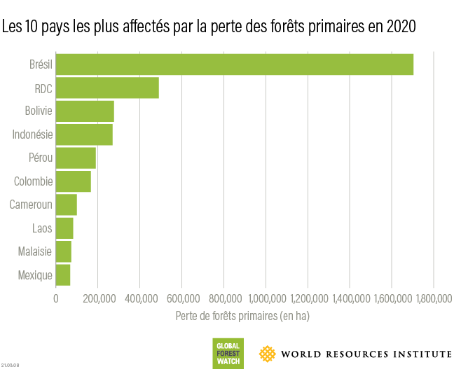 Top 10 countries for 2020 tree cover loss