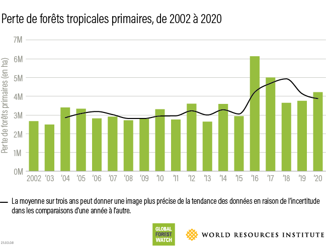 Tropical primary forest loss 2020 data