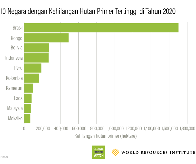 Top 10 countries for 2020 tree cover loss