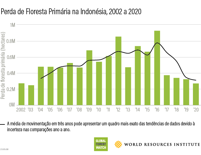 Indonesia tropical primary forest loss 2020