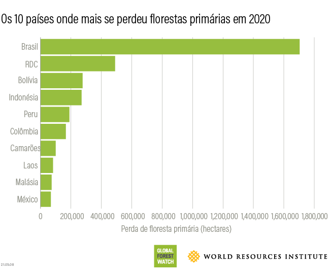 Top 10 countries for 2020 tree cover loss