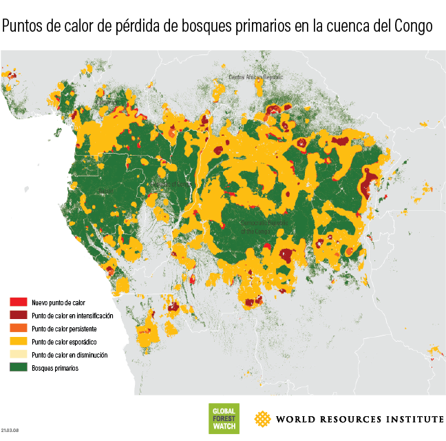 hots spots of primary forest loss in the DRC