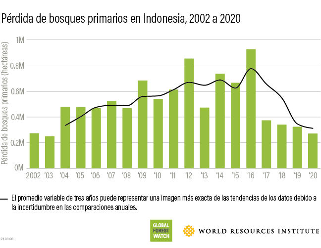 Indonesia tropical primary forest loss 2020