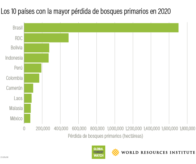 Top 10 countries for 2020 tree cover loss