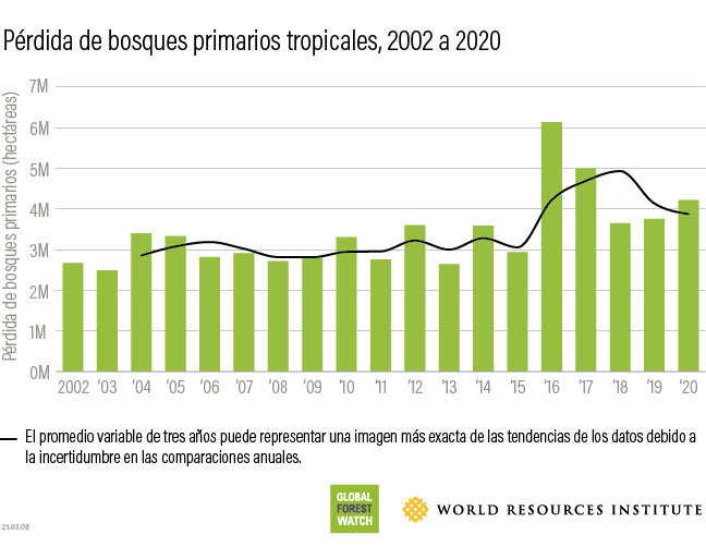 Tropical primary forest loss 2020 data
